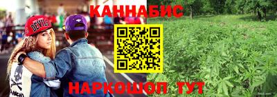 прущие грибы Бугуруслан