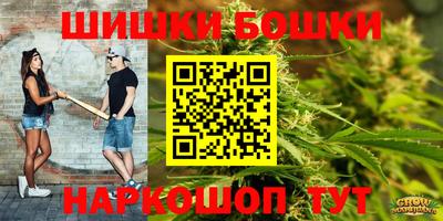 индика Бузулук
