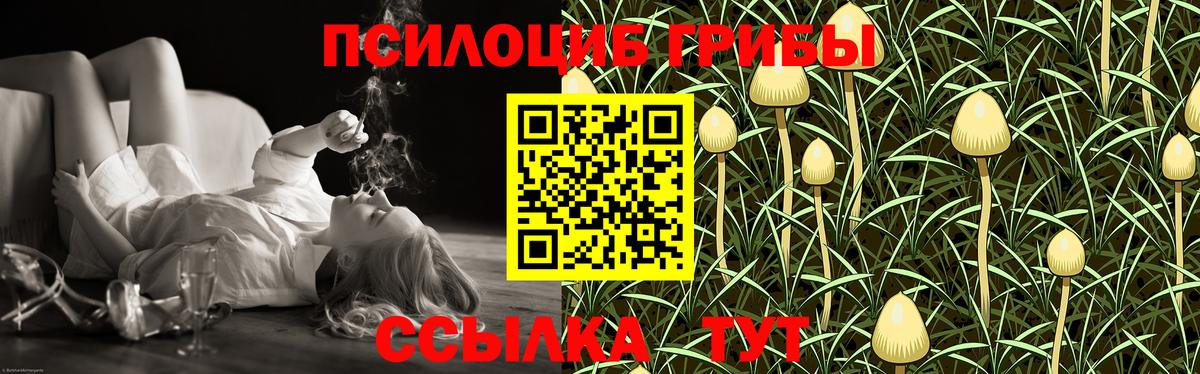 Галлюциногенные грибы ЛСД Новодвинск