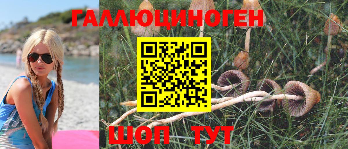 Псилоцибиновые грибы Magic Shrooms  Вход с VPN  Новодвинск 